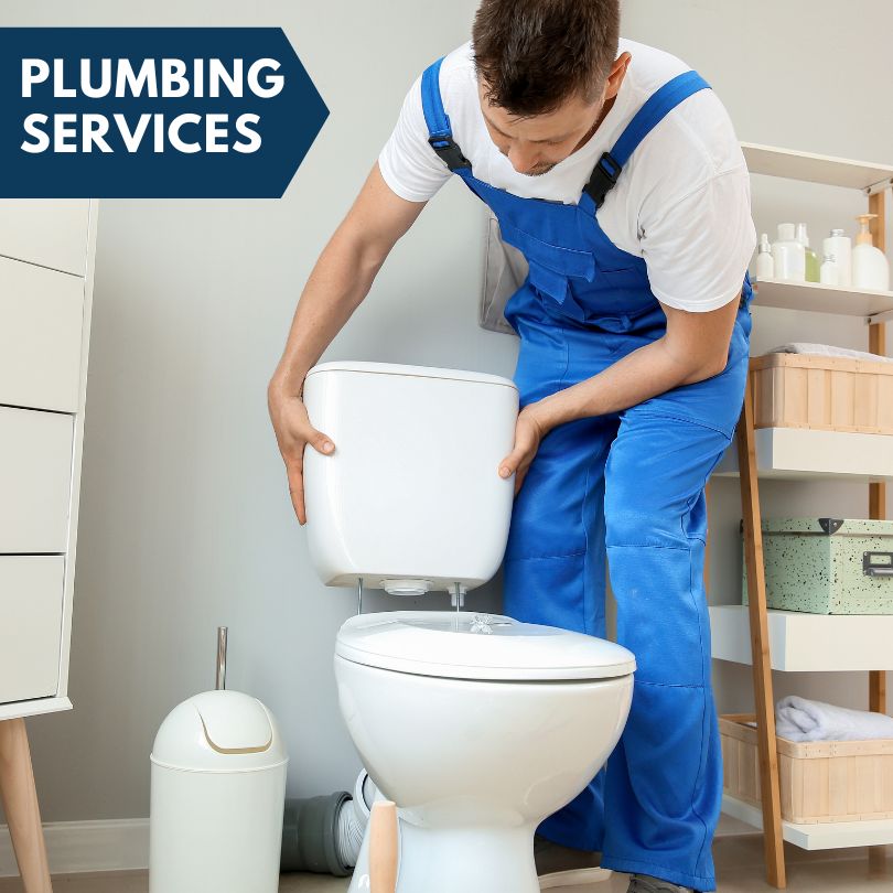 Plumbing Company in Lake Wilson, MN